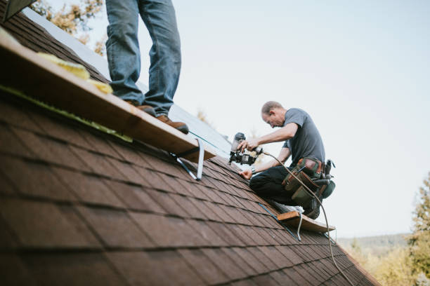 Best Metal Roofing Contractor  in Russellville, AR